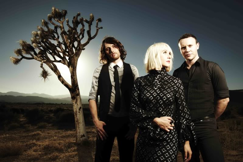 joy-formidable-band