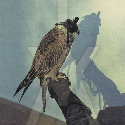 iceage-you-are-nothing-cover-art