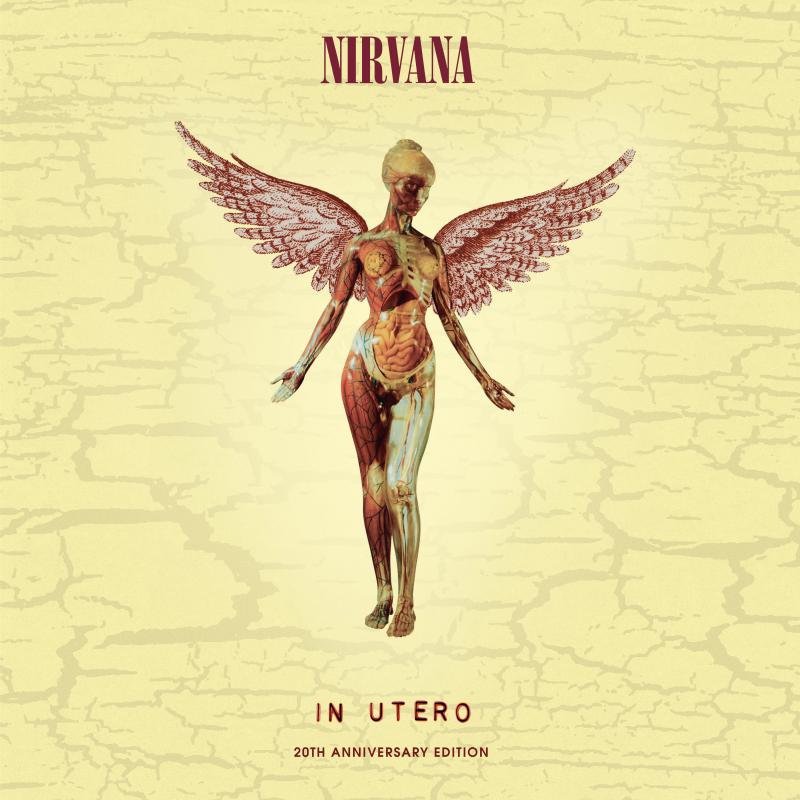 Nirvana In Utero (20th Anniversary Super Deluxe Edition) [Album Review