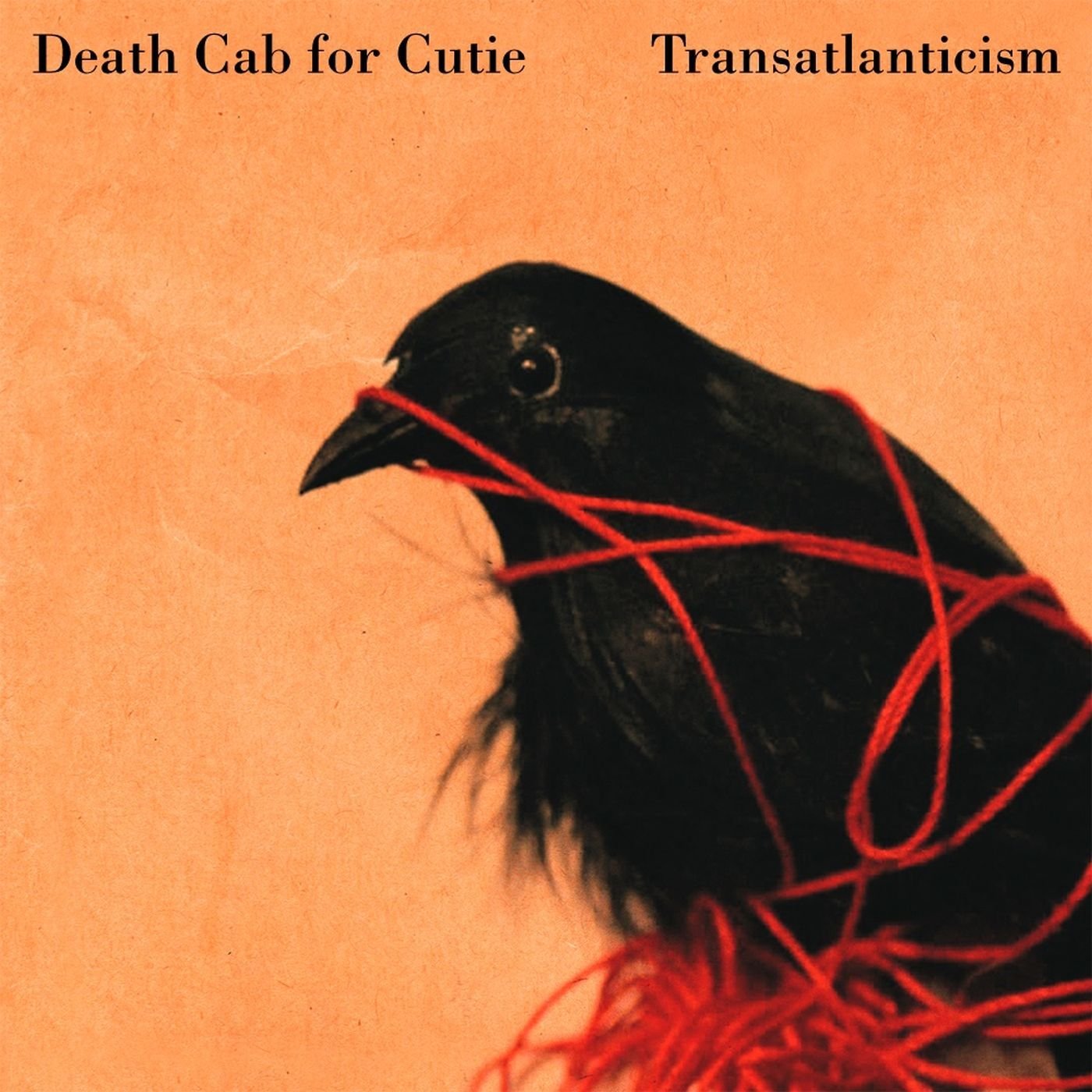 death cab for cutie tour transatlanticism