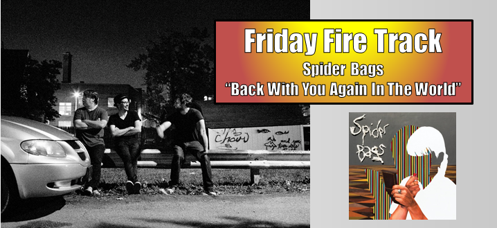 friday fire spider bags