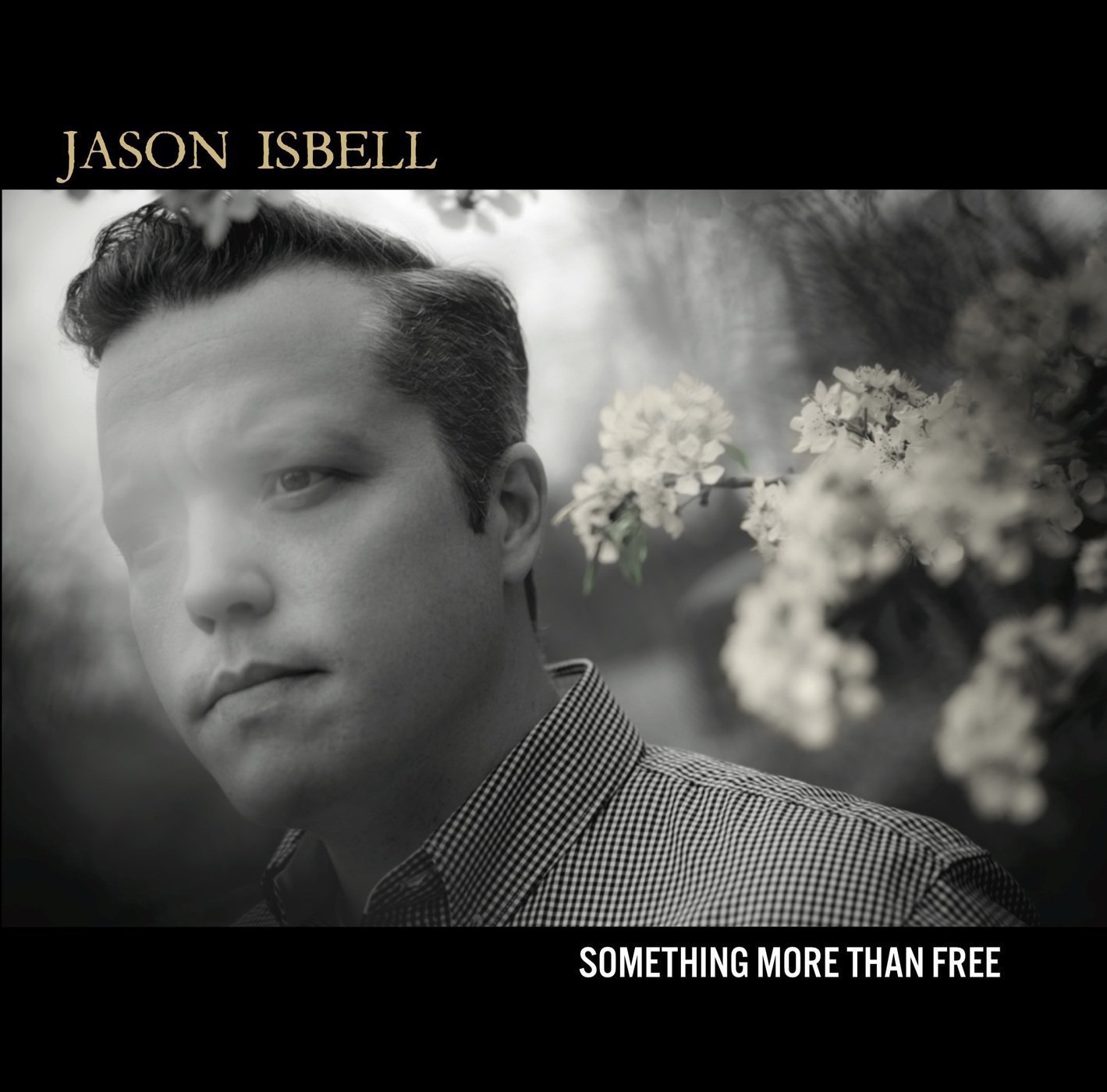 jason-isbell-something-more-than-freee