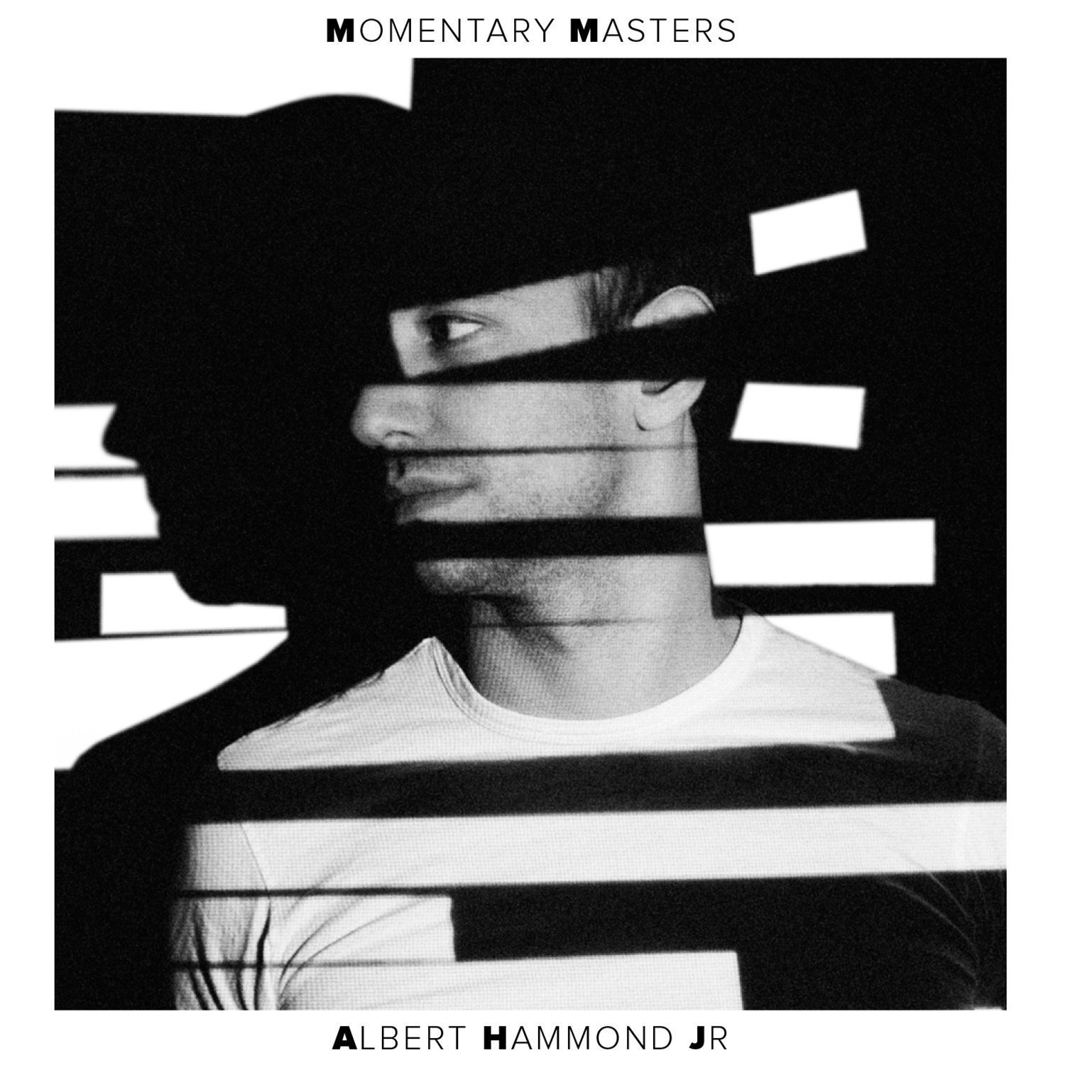 albert-hammond-jr-momentary-masters