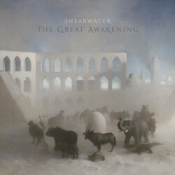 Shearwater: The Great Awakening [Album Review]