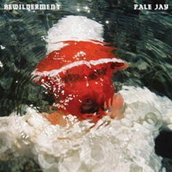 Pale Jay: Bewilderment [Album Review]