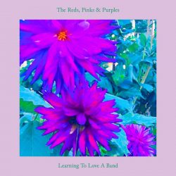 Fire Track: The Reds, Pinks & Purples – “Learning To Love A Band”