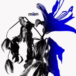 mien miien