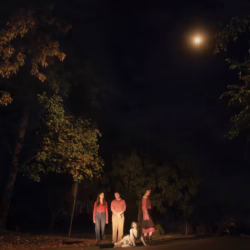 the ophelias spring grove