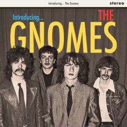 the gnomes