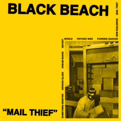black beach mail thief