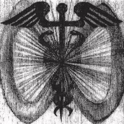 robber robber two wheels move the soul