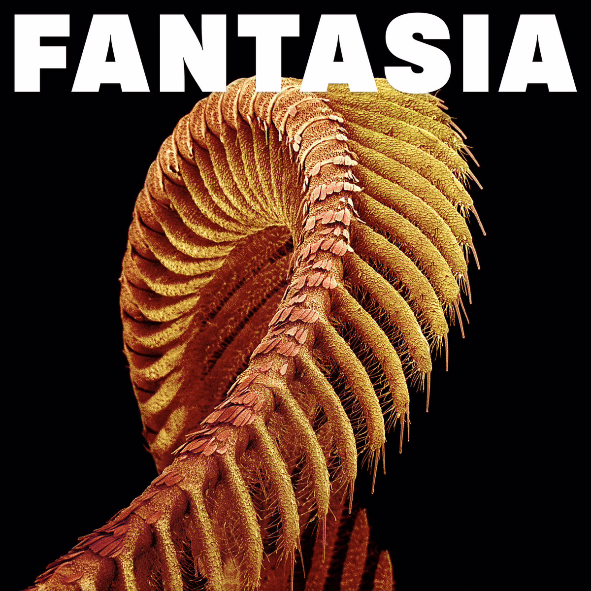 SLIFT - Fantasia album cover