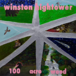 winston hightower 100 acre wood