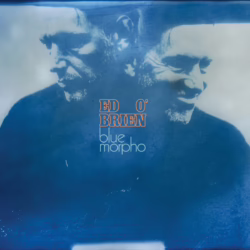 ed obrien blue morpho