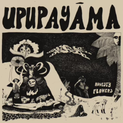 upupayama honesty flowers