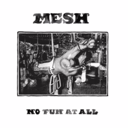mesh no fun at all